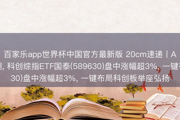 百家乐app世界杯中国官方最新版 20cm速递丨A股三大指数集体高潮， 科创综指ETF国泰(589630)盘中涨幅超3%， 一键布局科创板举座弘扬